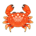 Red Egg Crab