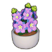 Potted Violets