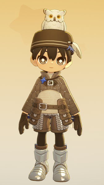 File:Grayowl Witchknight Dress Up Set.png