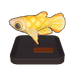 Golden Wonder Killifish Model