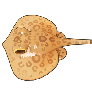 Honeycomb Stingray Icon.png