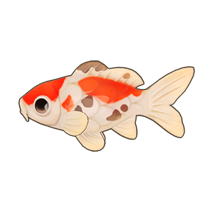 Sanke Koi Icon.png