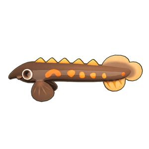 Fire Eel Icon.png