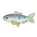 Green Pilchard