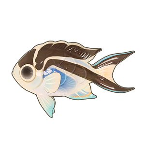 Ornate Angelfish Icon.png