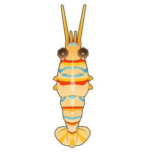 Candy-Striped Shrimp Icon.png