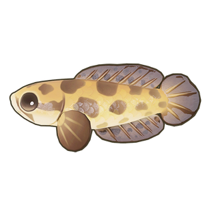 Dark Snakehead Icon.png