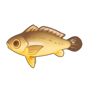 Large Yellow Croaker Icon.png
