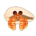 Striped Hermit Crab