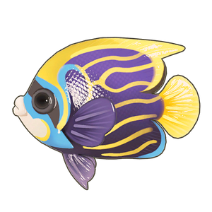 Emperor Angelfish Icon.png