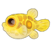 Pao Puffer