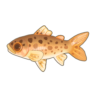 Rainbow Trout Icon.png