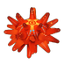 Fire Urchin