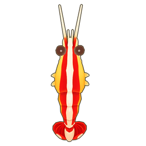 Skunk Cleaner Shrimp Icon.png