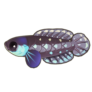 Blackfin Pearlfish Icon.png