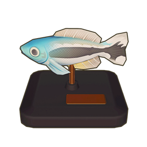 Blue Blanquillo Model Icon.png