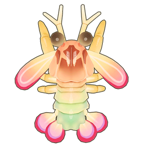 Rainbow Mantis Shrimp Icon.png