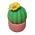 Yellowbloom Potted Cactus