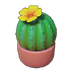Yellowbloom Potted Cactus