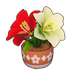 Tricolor Potted Amaryllis