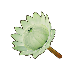 White King Protea Icon.png