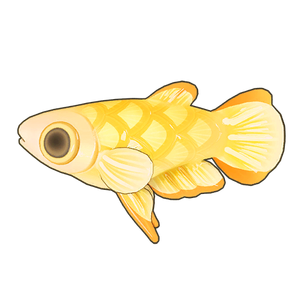 Golden Wonder Killifish Icon.png
