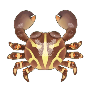 Flat Rock Crab Icon.png