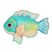 Blackspot Tuskfish