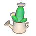 Watering Can Cacti