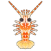 Pink Spiny Lobster