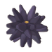 Sea Urchin