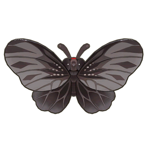 Aurora Swallowtail Icon.png