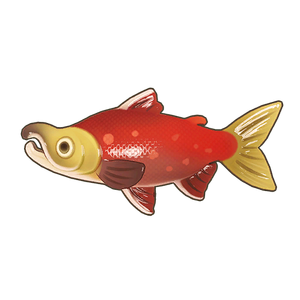 Sockeye Salmon Icon.png