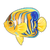 Royal Angelfish