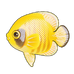 Bluecheek Butterflyfish