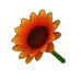 Red Sunflower