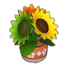 Tricolor Potted Sunflowers