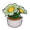 Potted Daisies