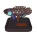 Blackfin Pearlfish Model