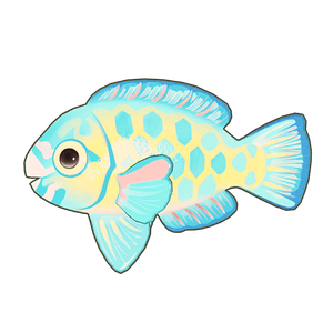 Blue Trim Parrotfish Icon.png